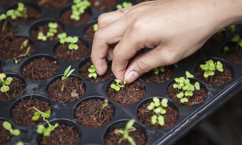 Desperdiças 120€ por mês? O que os dados dizem sobre o desperdício alimentar português